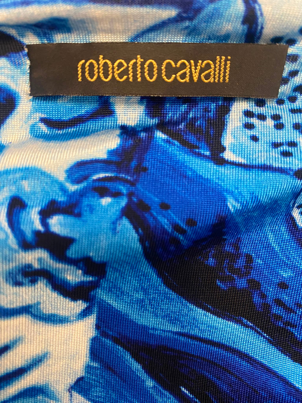 2005 Roberto Cavalli "Ming Vase" Blue Printed Ruched Mini Dress – Made in Italy