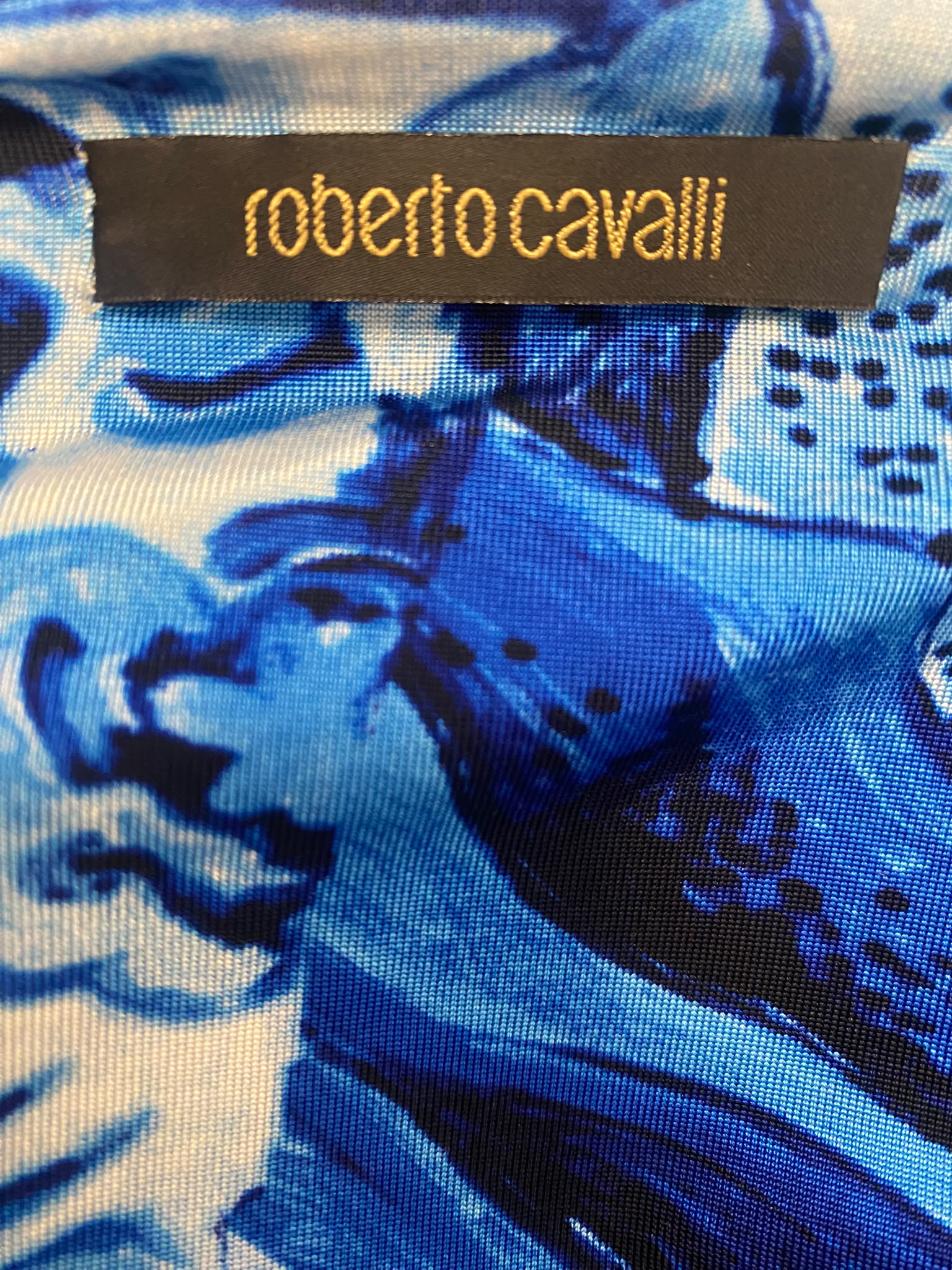 2005 Roberto Cavalli "Ming Vase" Blue Printed Ruched Mini Dress – Made in Italy