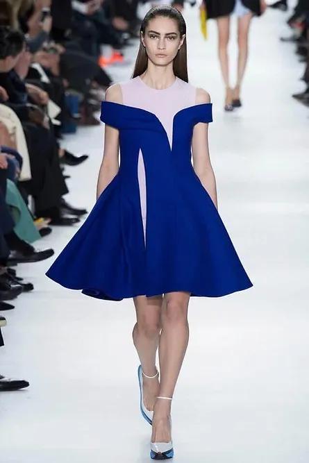 Raf Simons x Christian Dior Dress  (Fall 2014)