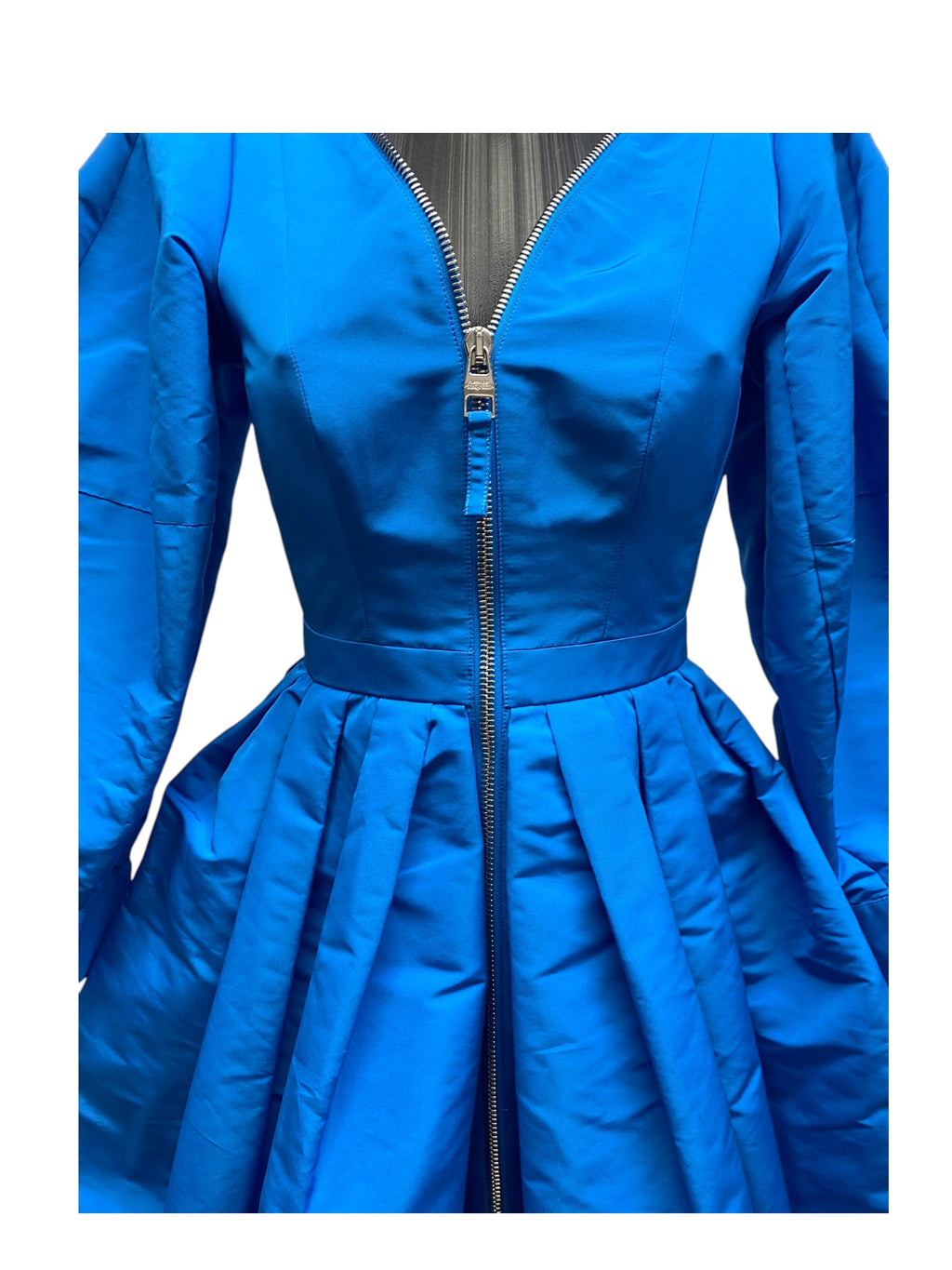 Alexander Mcqueen Dress/Coat by Sarah Burton circa 2013