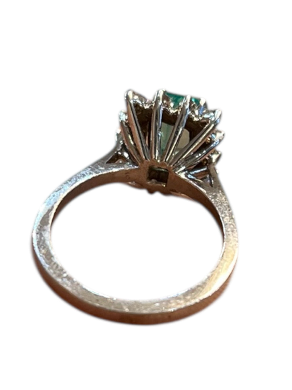 Ring in 14K white gold