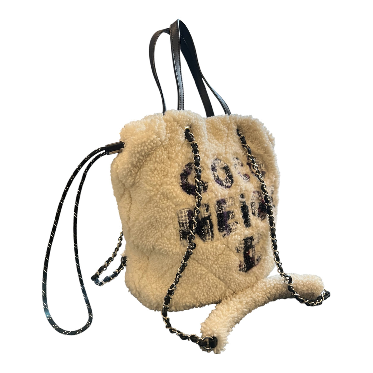 2019 Chanel "The Coco Neige" Handbag