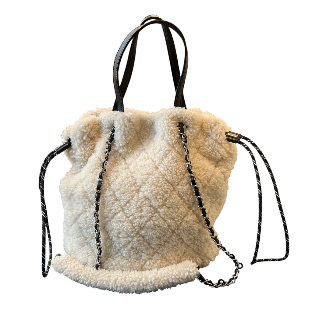 2019 Chanel "The Coco Neige" Handbag