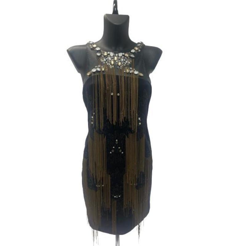 Roberto Cavalli Bi-Material Dress with Stones and Metallic Fringes