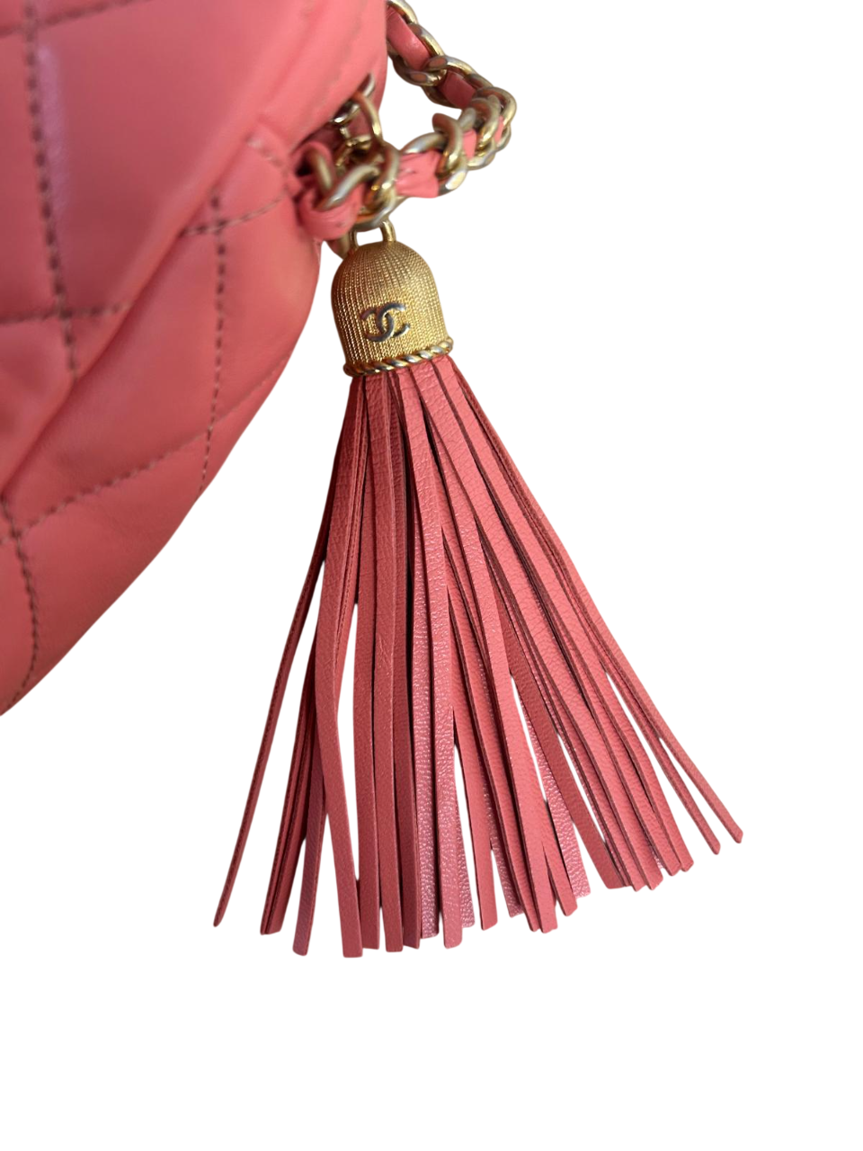 Chanel Quilted Camera Bag in Pink Lambskin (2020)