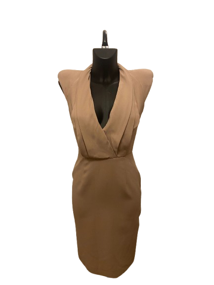 Alexander McQueen Powder Pink Dress (S/S2010)
