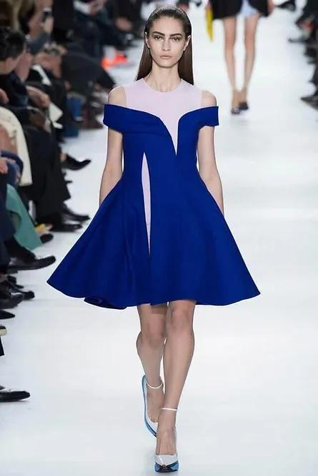 Raf Simons x Christian Dior Dress (Fall 2014)