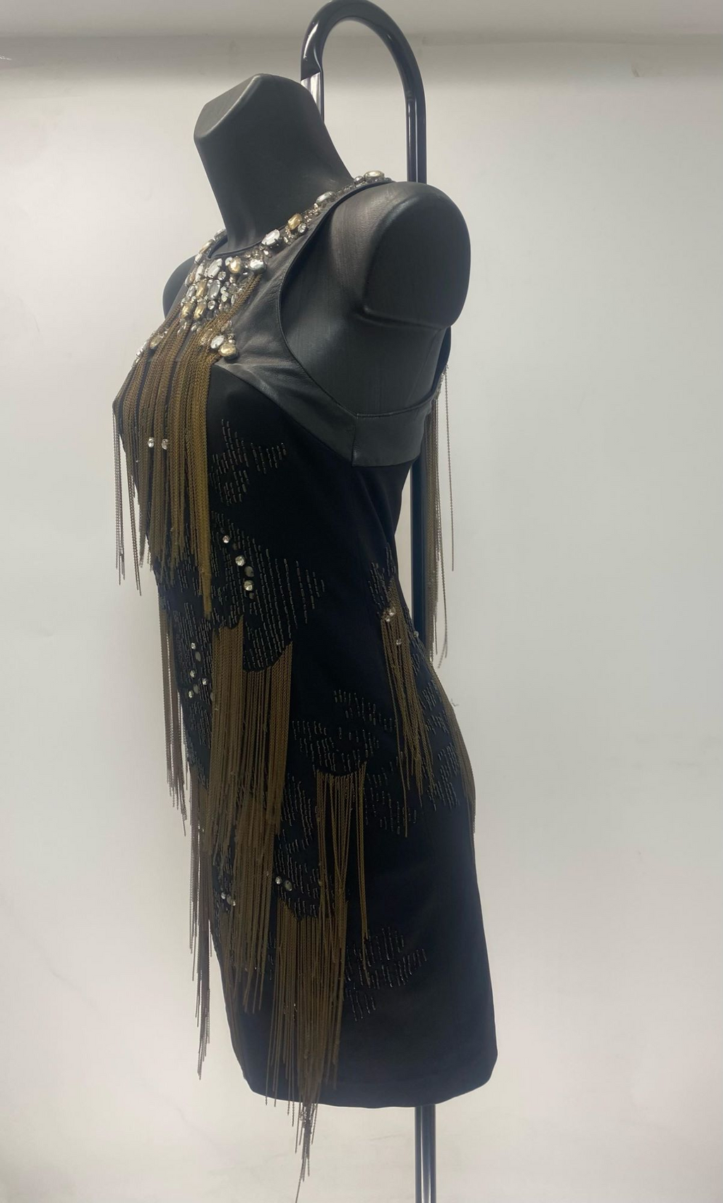 Roberto Cavalli Bi-Material Dress with Stones and Metallic Fringes